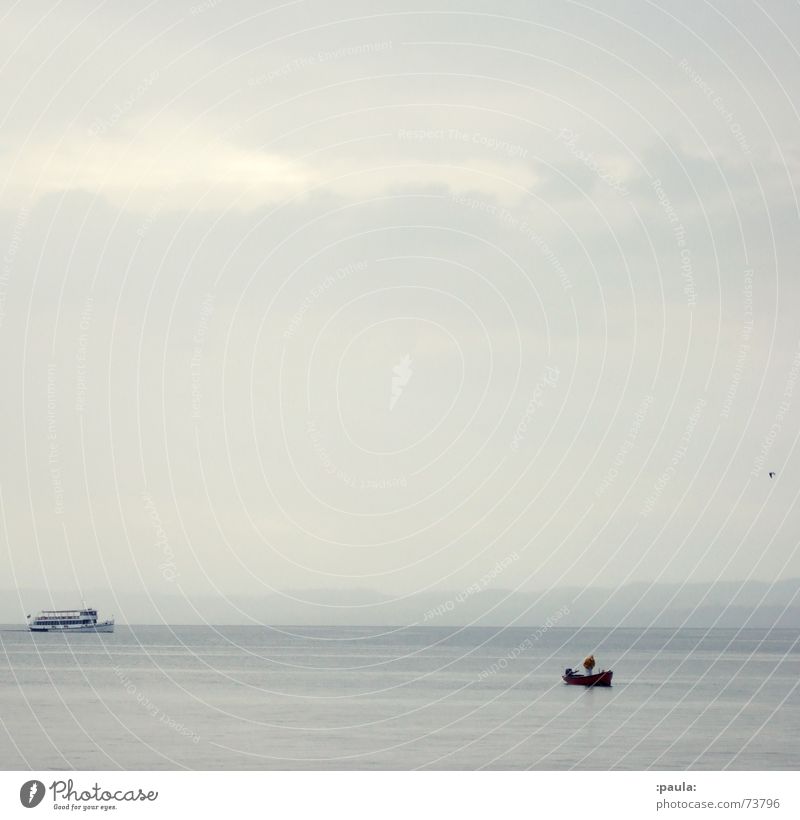 Lake Garda Idyll Italy Fishing boat Seagull Bird Gray Morning Ferry Horizon Calm Water Dawn Sky Coast