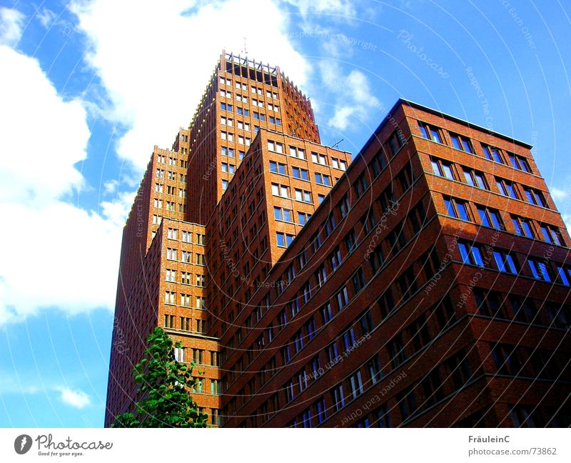 above the clouds Clouds House (Residential Structure) High-rise Building Light Brown White Blue-white Tree Sony Center Berlin Might Large Window