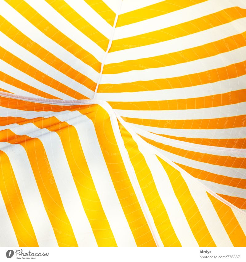 sunny stripes Sun blind Tent ceiling Line Stripe Illuminate Esthetic Positive Warmth Yellow Orange White Design Colour Abstract Colour photo Exterior shot
