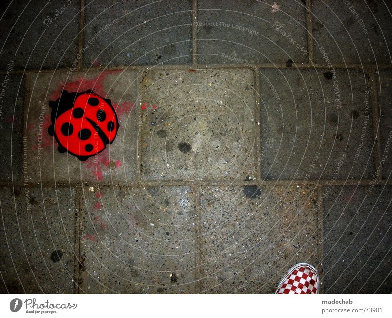 THIS IS 300 | ladybug urban city ground shoe shoe shoe Asphalt Ladybird Square Footwear Checkered Pattern Red Black White Gray Town Pedestrian Delivery truck