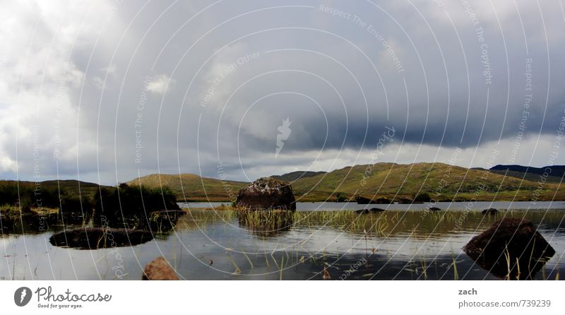 Connemara Nature Landscape Sky Clouds Spring Summer Bad weather Plant Grass Bushes Moss Meadow Field Hill Lakeside River bank Bog Marsh Stone Brown Green Idyll