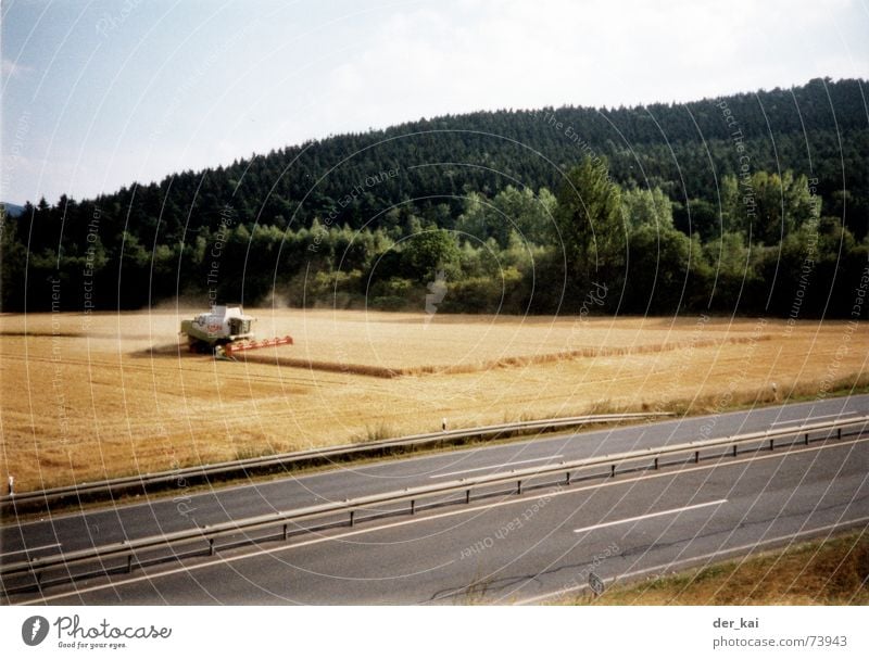 Montana Rye Wheat Field Forest Tree Year Grain dreschmower threshing club Street car (coming soon) Sky dental flux Lomography None kornbilder more this