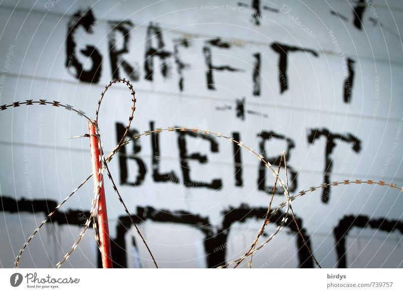 In any case Art Youth culture Subculture Graffiti Wall (barrier) Wall (building) Facade Barbed wire fence Authentic Exceptional Threat Rebellious Enthusiasm