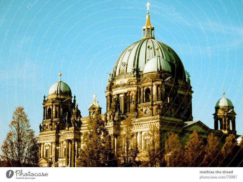 Berlin Cathedral Religion and faith House of worship Downtown Berlin Tree Domed roof good weather green roof Sky Back Architecture