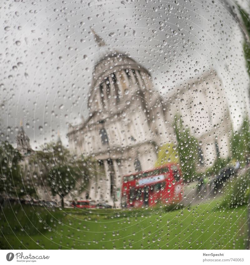 Spring in London Sky Clouds Storm clouds Bad weather Rain Plant Tree Grass Park England Capital city Downtown Old town Tourist Attraction Landmark