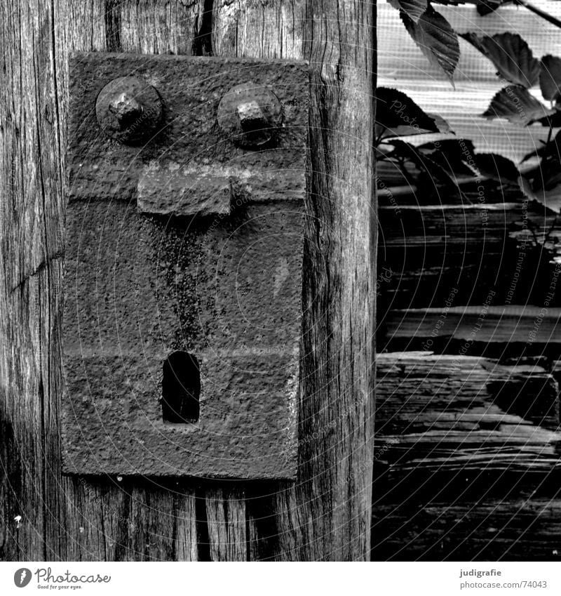Oh! Oh! Oh! Amazed Scare Frightening Wood Fastening Railroad tracks Plant Black White oh Face Facial expression Marvel Screw square Eyes Nose Mouth threshold
