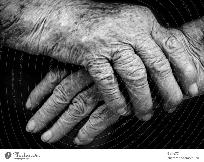 Traces of life Hand Time Fingers To hold on Safety (feeling of) Hold Sensitive Vulnerable Old Wrinkles Life Emotions Warmth