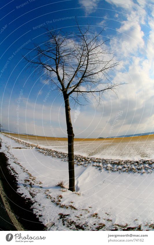 tree Tree Clouds Field Moody Cold Winter Snow Street Blue Sky Landscape Sun