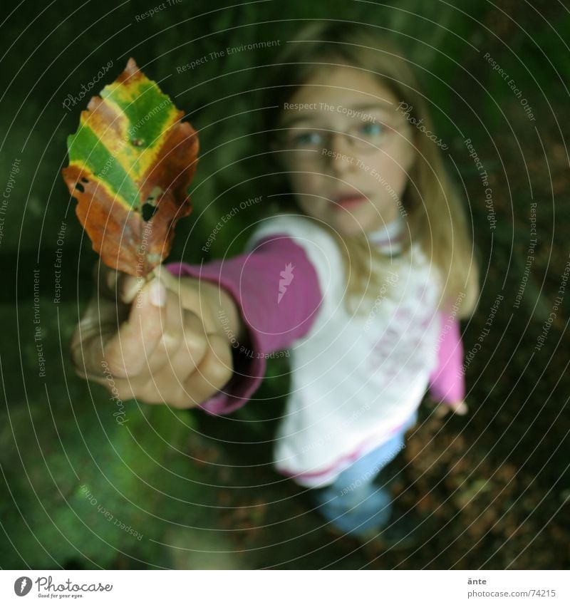 Look, it's gonna be autumn! Leaf Autumn Child Grief Hand Eyeglasses Shows Fingers Noble Blonde Small Discover Playing Nature Indicate Sadness Marvel