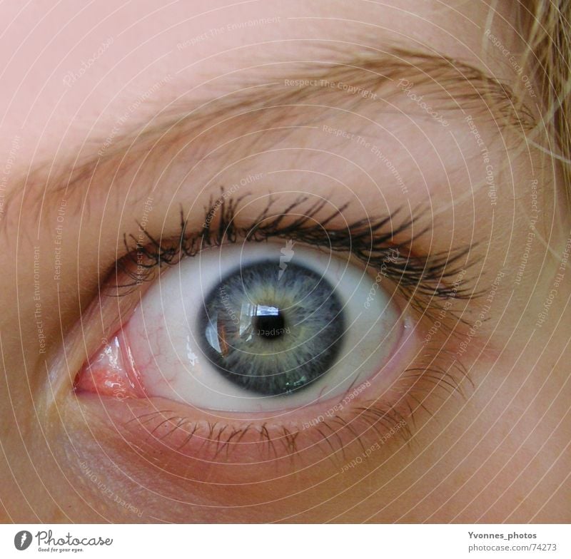 oh, fright... Colour photo Detail Macro (Extreme close-up) Reflection Looking Looking into the camera Forward Face Lamp Audience Human being Eyes Blonde