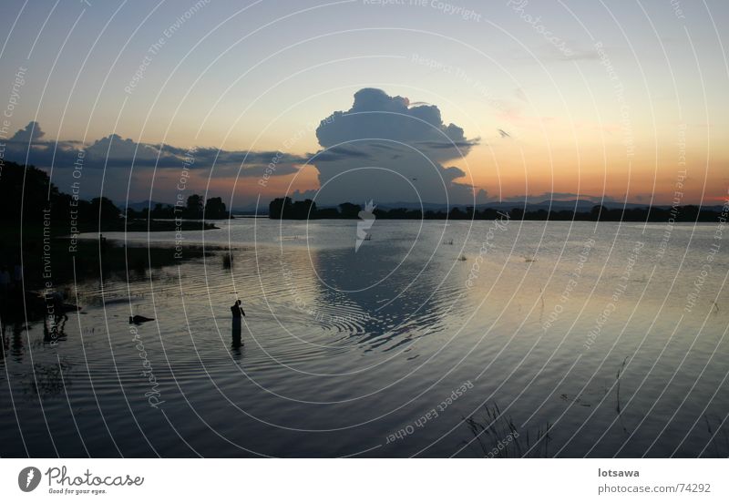 Evening mood at the lake, Sri Lanka Lake Sunset Calm Twilight Swimming & Bathing Peace