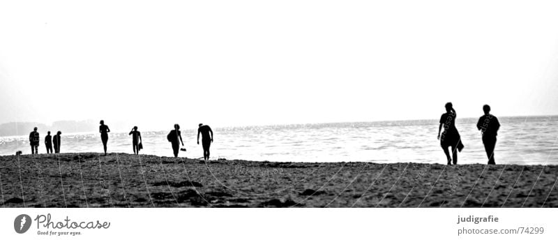 On the beach Lake Beach Ocean To go for a walk Going Hiking Light Back-light Coast Black a dog Baltic Sea Human being Multiple Couple Walking Water Silhouette