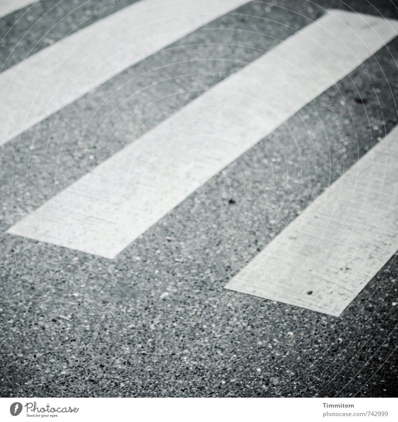 Patience, somebody's coming! Street Asphalt Zebra crossing Dye Signs and labeling Line Wait Simple Trashy Gray White Emotions Black & white photo Patient