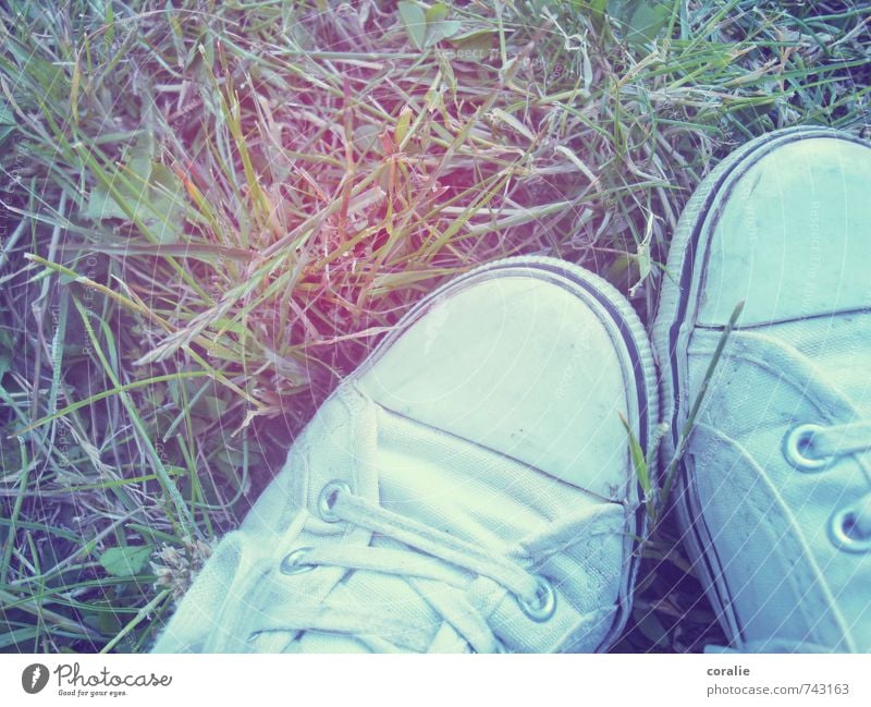 festival summer Summer Grass Meadow Footwear Sneakers Chucks Shoelace Lawn Relaxation Music festival Retro Park 2 Together Grass meadow Rocking Calm Cuddling
