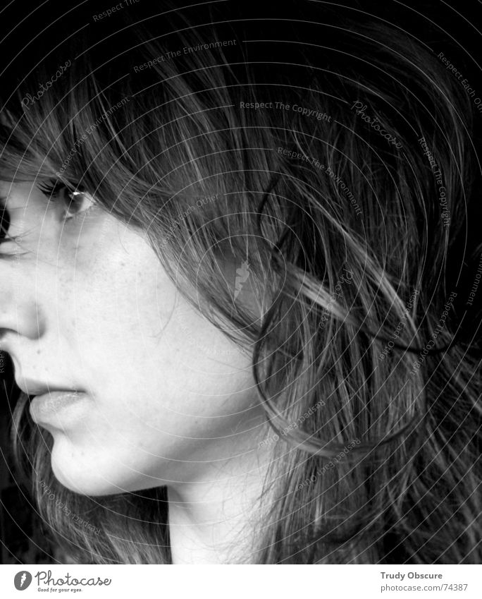 darkside lightside Woman Feminine Side Portrait photograph Human being from the side Hair and hairstyles Eyes