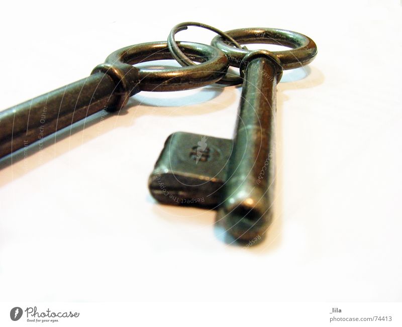 key lure antique keys opened opening door old key old safety object