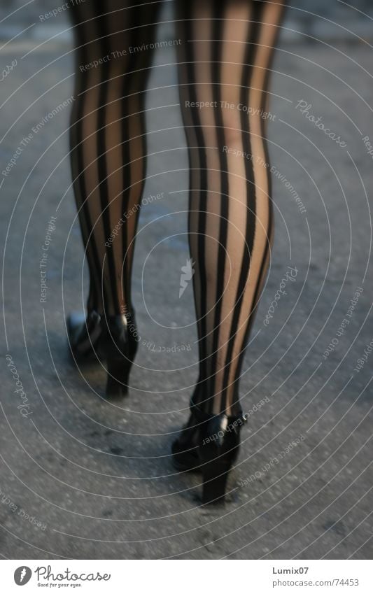 bene Woman Striped Black High heels Long Fetishism Legs silk stockings