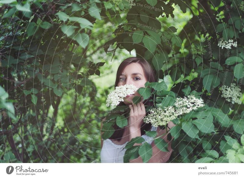Hello Summer Human being Feminine Young woman Youth (Young adults) Woman Adults Face Hand 1 13 - 18 years Child 18 - 30 years Landscape Bushes Elder Elderflower