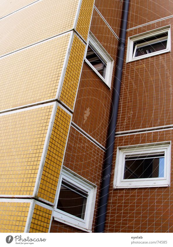 Uninformative Functionalism 2 Window Wall (building) Building House (Residential Structure) High-rise Social Yellow Brown White Hope Sixties Seventies Pattern