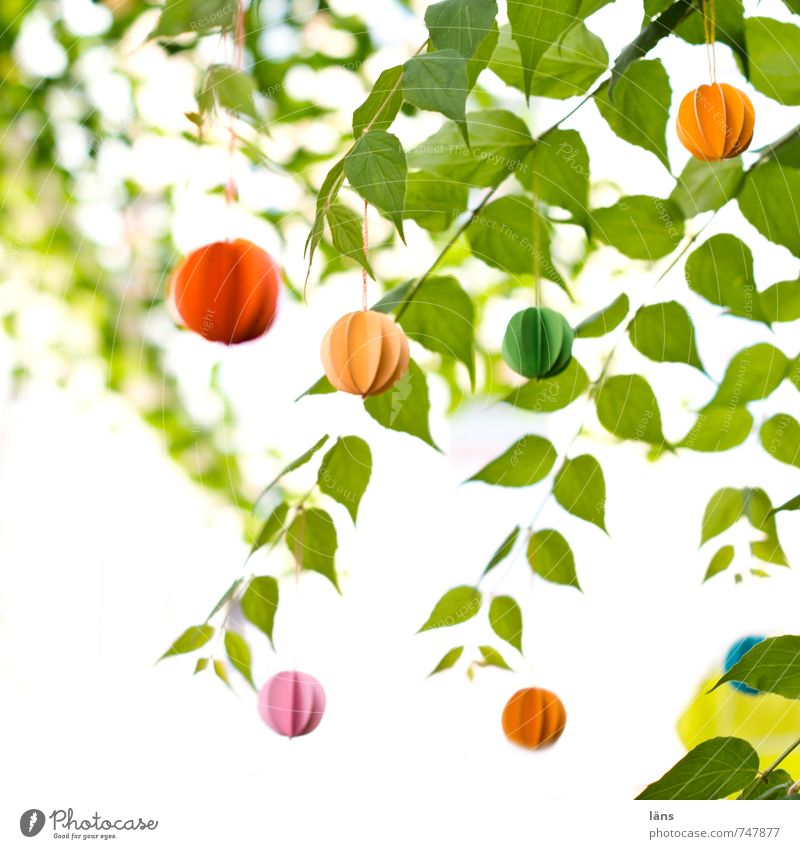 wind chimes Garden Feasts & Celebrations Nature Plant Leaf Foliage plant Funny Yellow Green Orange Pink Red Idea Uniqueness Decoration Wind chime Paper