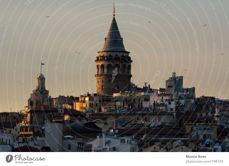 Istanbul Galat Tower Port City Downtown Skyline Castle Tourist Attraction Landmark Galata Bridge Galata kulesi Esthetic Historic Warmth Tourism Town