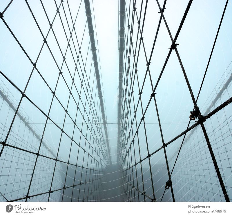 The Brooklyn Bridge and the Nebula III Environment Nature Climate change Weather Bad weather Storm Fog Downtown Outskirts Skyline Overpopulated