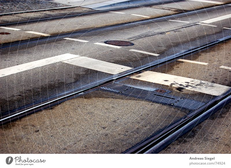 And stop! Pedestrian crossing Tram Public transit Ticket Line Railroad tracks Gully Wet Puddle Gray Asphalt Transport Lateness Dresden Traffic infrastructure