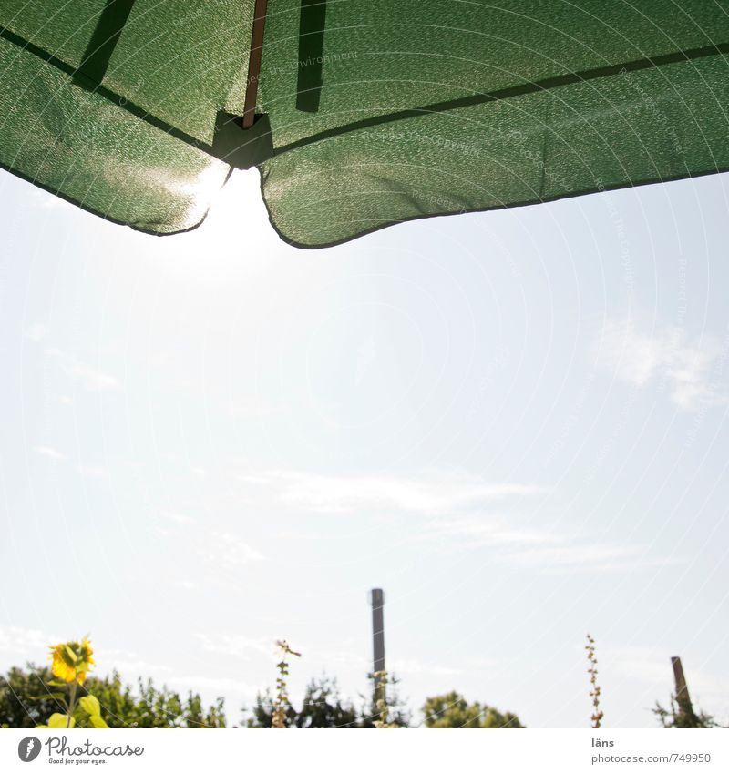 summer day Summer Sun Sunshade Back-light Chimney Sunflower Sky