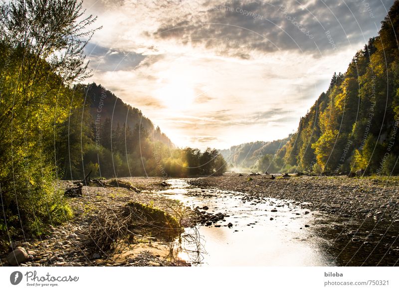 Back to Nature - River Stone