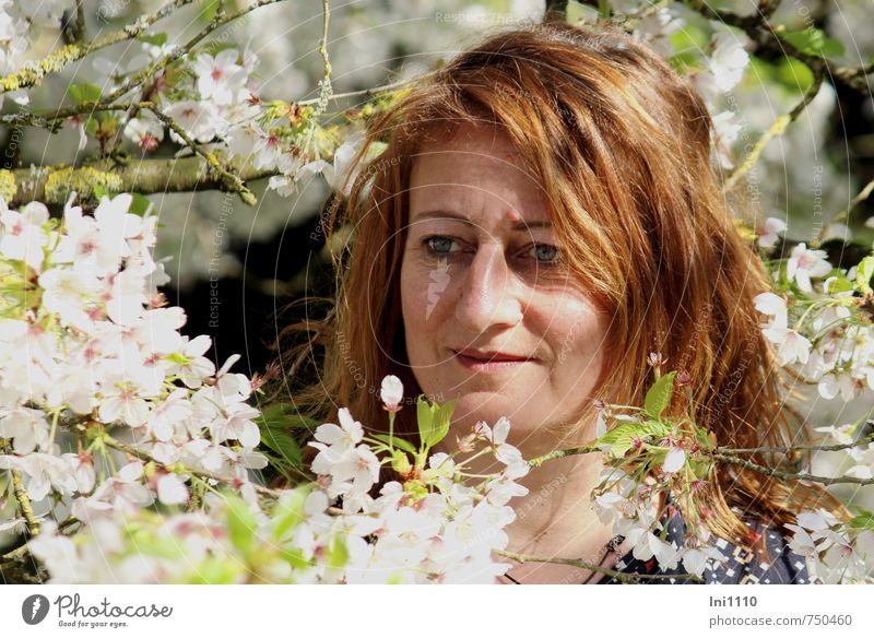 AST 7 | Portrait of a young woman in cherry blossom branches Young woman Youth (Young adults) Head Face 1 Human being Sunlight Spring Beautiful weather Tree