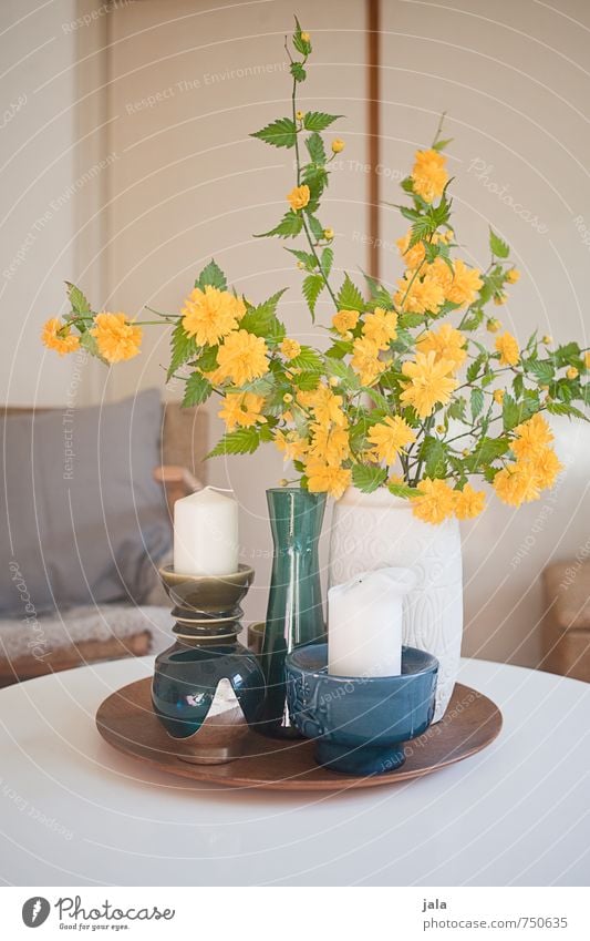 ranunculus Living or residing Flat (apartment) Interior design Decoration Armchair Table Plant Flower Leaf Blossom Buttercup Vase Candle holder Esthetic