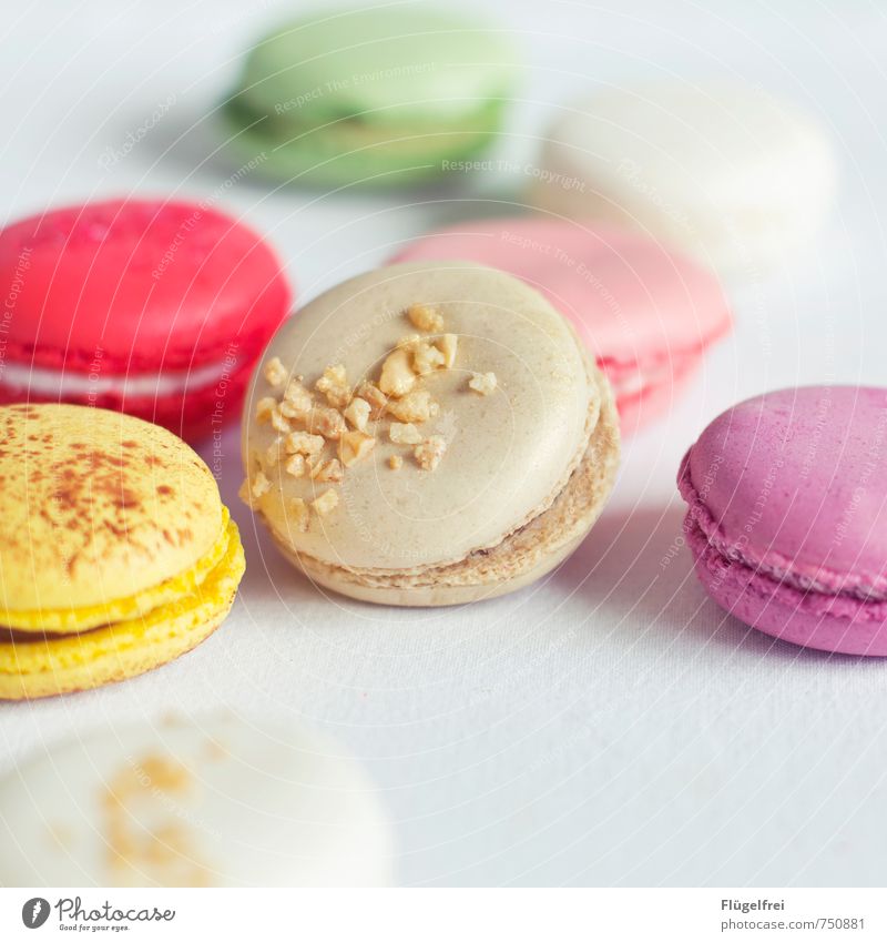 Colorful calorie bombs 2 Nutrition Sweet macarons Baked goods Baiser Cracknel Granules Pastel tone Candy Cake Colour Colour photo Interior shot