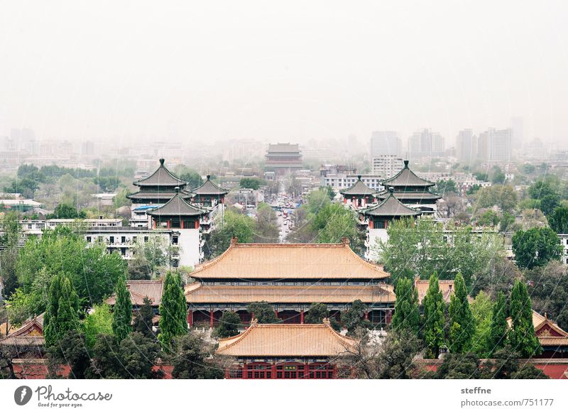 far east Tree Beijing China Old town House (Residential Structure) Palace Town Far East drum tower Haze Environmental pollution Cinese architecture Colour photo