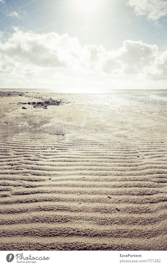 sunday Vacation & Travel Tourism Trip Freedom Summer Summer vacation Sun Sunbathing Beach Ocean Environment Nature Landscape Sand Sky Clouds Horizon Spring