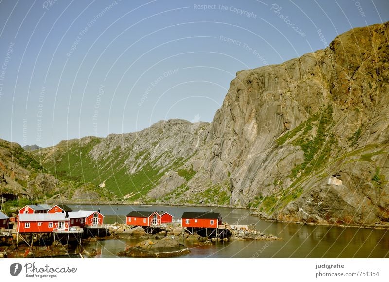 lofoten Environment Nature Landscape Water Beautiful weather Rock Fjord Norway Lofotes Nusfjord Village Fishing village House (Residential Structure) Hut