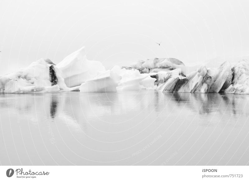Iceland II Environment Landscape Water Glacier Jökulsárlón Esthetic Cold Gray White Black & white photo Exterior shot Day Contrast Reflection