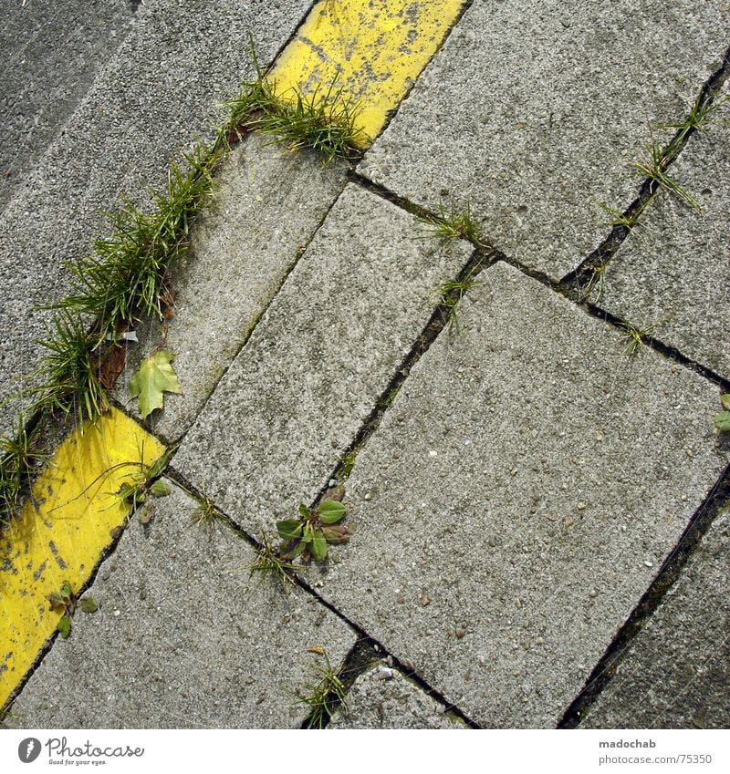 yellow Town Asphalt Gray Under Pedestrian Transport Gloomy Pattern Background picture Structures and shapes Square Graphic White Yellow Grass Meadow Nature