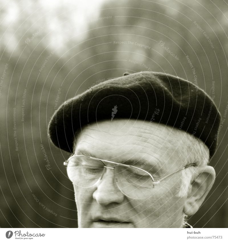 grandfather Grandfather Man Baseball cap Eyeglasses Closed White Breakdown Gray Tree Facial expression Concentrate Old Painter Painting (action, work) Life