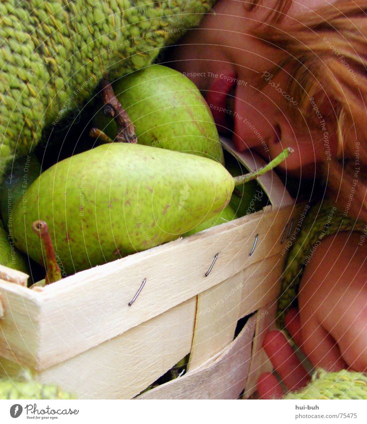 pear basket Green Basket Collection Sweater Stapler Hollow Knit Knitted Sweet Cute Large Rescue Delicious Protection Savior Stalk Edible Tree Animal Pear