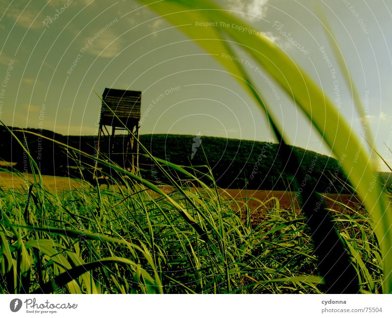 Let's go hunting! Hunting Blind Field Grass Agriculture Moody Bird's-eye view Green Summer Mountain Landscape Sky Perspective Wind Blow Earth Floor covering
