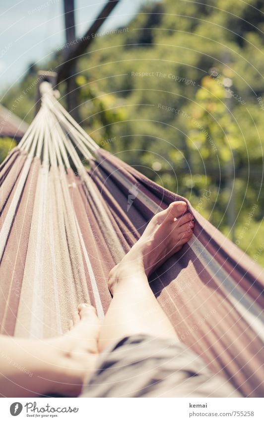 A good place to be Lifestyle Leisure and hobbies Hammock Vacation & Travel Summer Summer vacation Sunbathing Human being Feet Lower leg Toes 1 Lie Bright Warmth