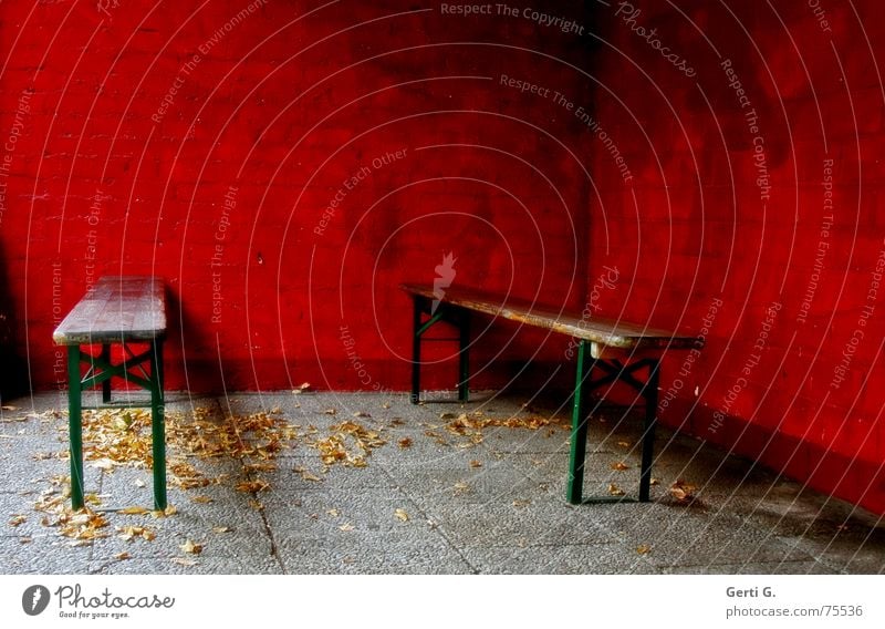 invisible Lie Park bench Ale bench Beer Red Wall (building) Wall (barrier) Leaf Autumn Seasons Green Guest 2 Event Near Narrow Places Deserted Empty Dark
