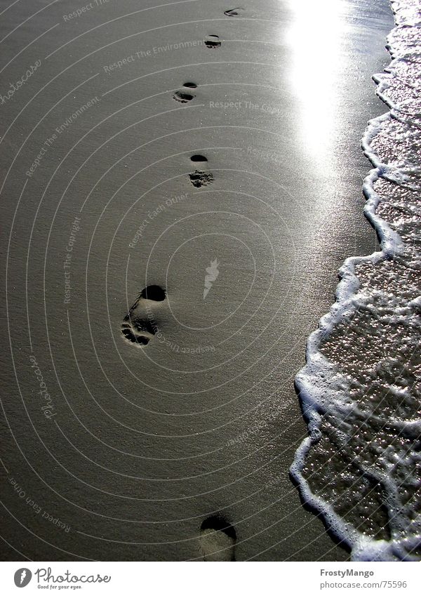 Sand in my shoes Ocean Footprint Toes Grain of sand Air Feet Water Sun sea of salt Barefoot