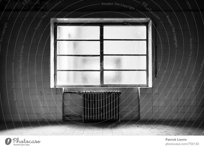 Out of service Deserted Swimming pool Manmade structures Building Architecture Wall (barrier) Wall (building) Window Monument Old Threat Dirty Creepy Town