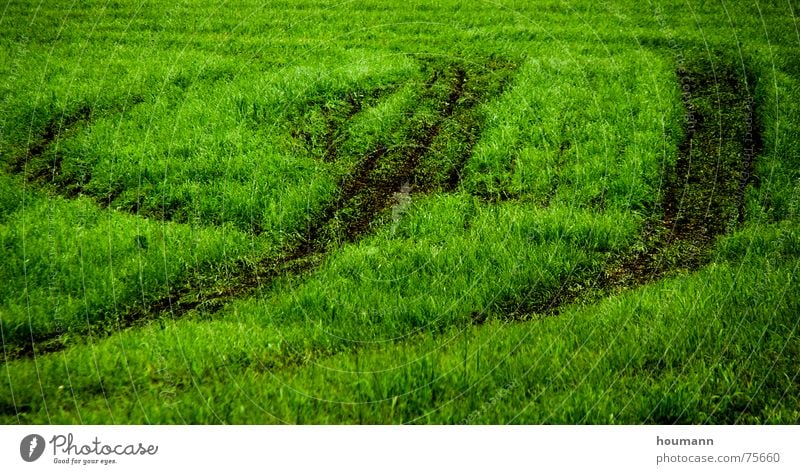 Tractose 2 Physics Pattern Green Grass Field tractor tracks shadows Warmth Shadow Tractor track