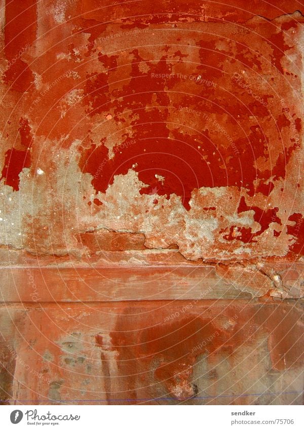 Red Red Wall (building) Plaster Italy Venice Flake off Transience Old Decompose Colour