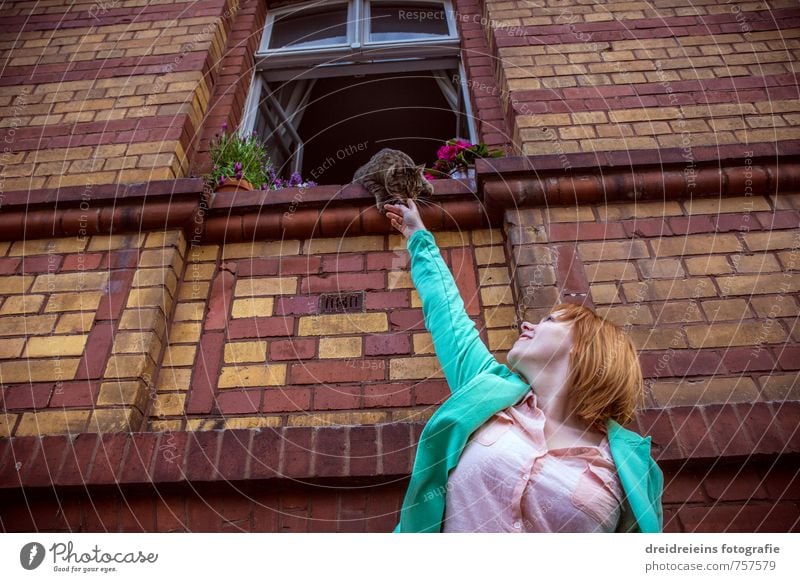 The cat on the windowsill Human being Feminine Woman Adults 1 Plant Flower Blossom Pot plant House (Residential Structure) Wall (barrier) Wall (building) Facade