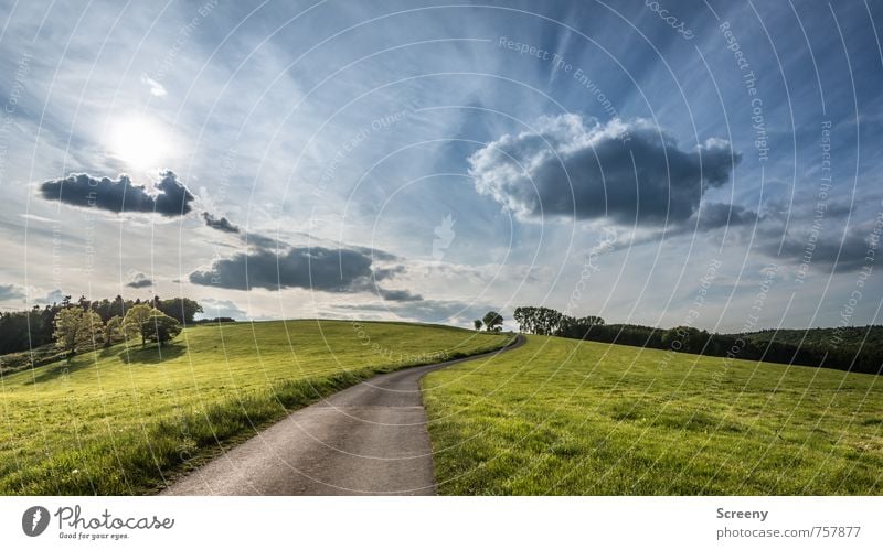 distant... Nature Landscape Plant Sky Clouds Sun Sunlight Spring Summer Beautiful weather Grass Meadow Field Hill Eifel Street Lanes & trails Driving Illuminate