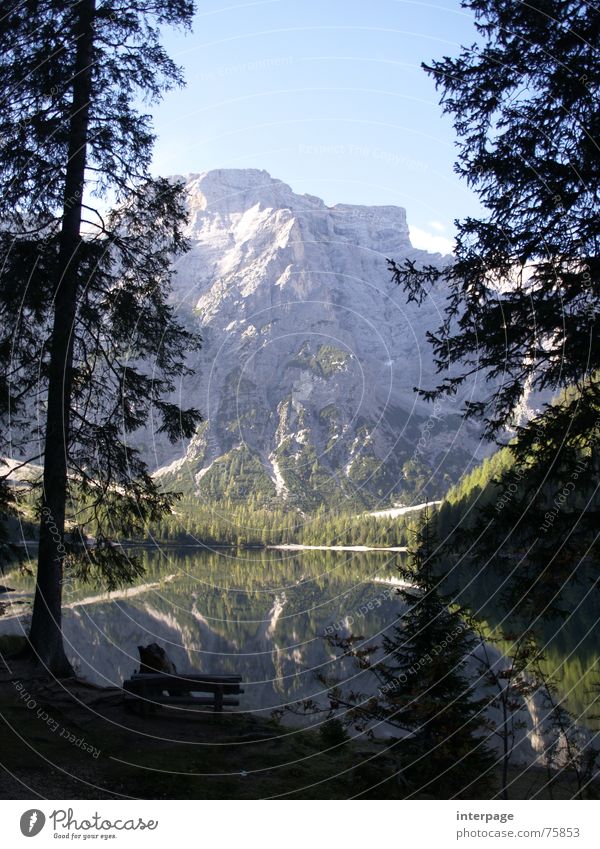 wild lake South Tyrol Lake Wildsee Lake Set Italy Austria Lighting Relaxation Hiking Mountaineering Exterior shot pragser Idyll Water Reflection Nature