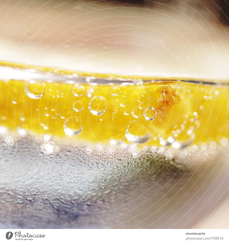 Mysterious blubber. Food Lemon Beverage Drinking water Authentic Simple Exotic Fluid Healthy Uniqueness Cold Delicious Wet Natural Juicy Sour Yellow